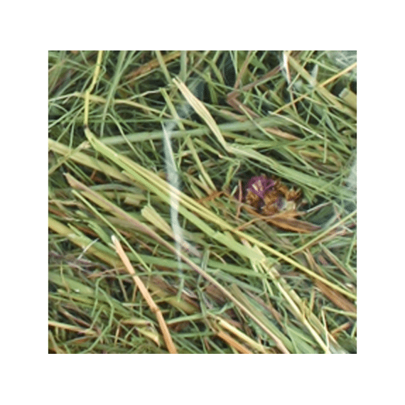 Berghooi met kamille 500gr