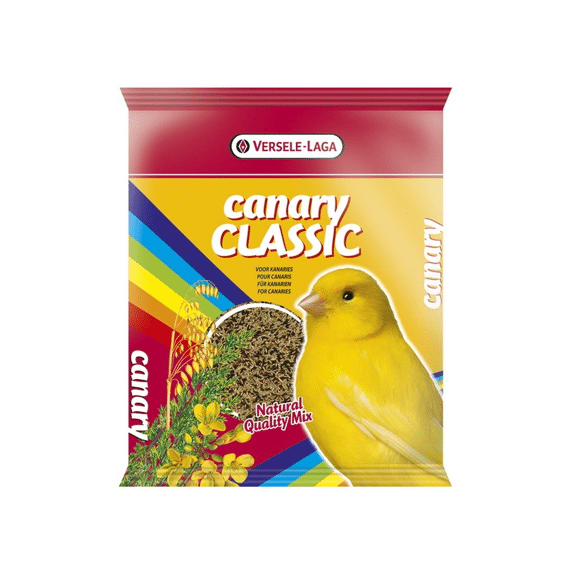 Classic Canary zangzaad
