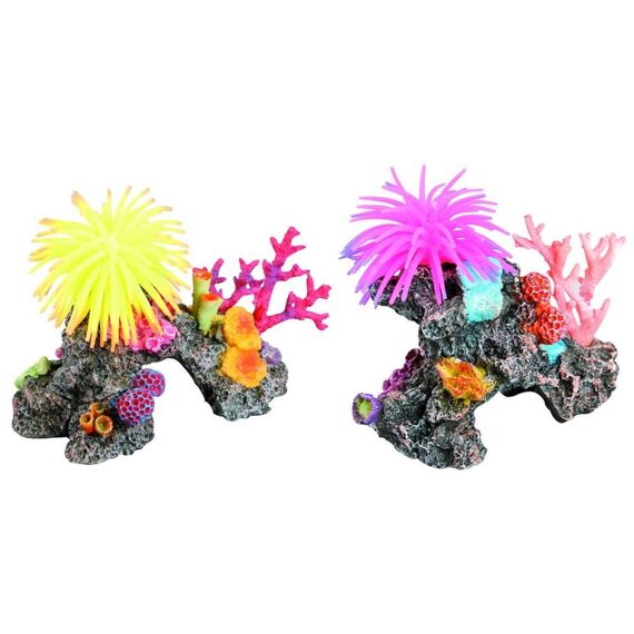 Decoratie rif met anemoon