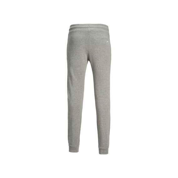 Jack & Jones 2001 Jjigordon Jjshark Sweat Pants Viy N