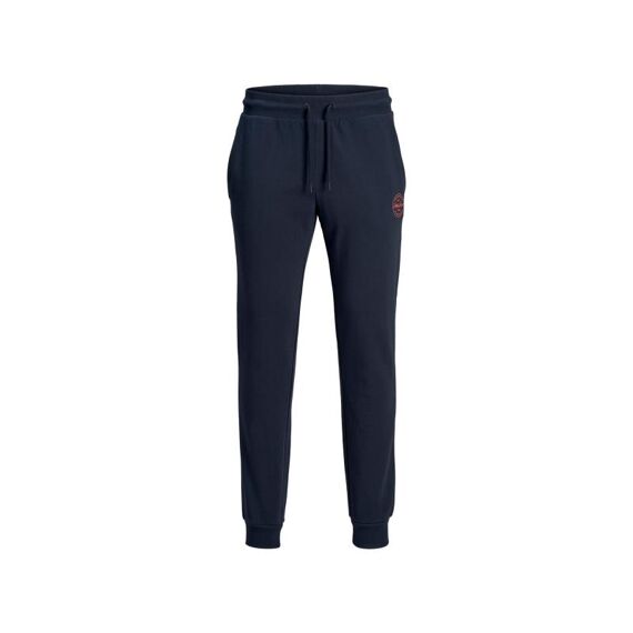 Jack & Jones 2001 Jjigordon Jjshark Sweat Pants Viy N