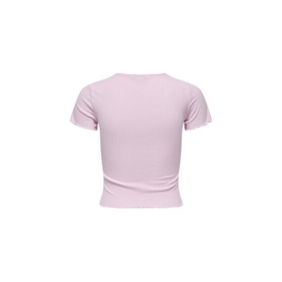 Only T-shirt