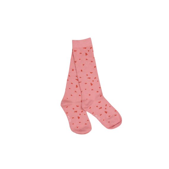 Someone Kids Girls W21 Sox-Sg-81-A Socks