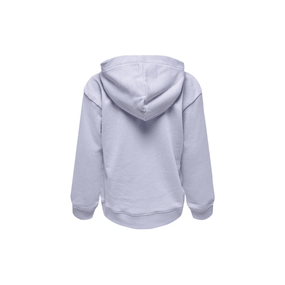 Only Kids Noos Kognever L/S Small Logo Hood Ub Pnt