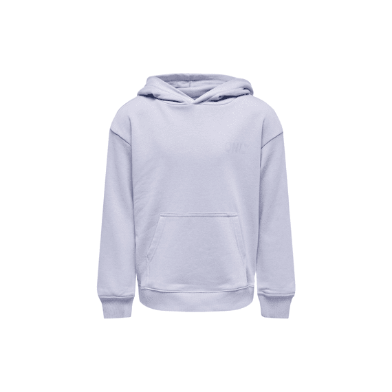 Only Kids Noos Kognever L/S Small Logo Hood Ub Pnt