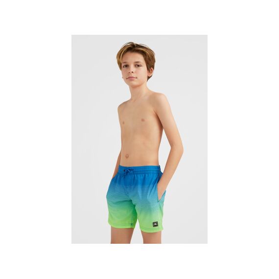 O'Neill Z23 Boys Cali Gradient 14'' Swim Shorts