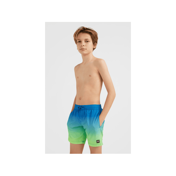 O'Neill Z23 Boys Cali Gradient 14'' Swim Shorts