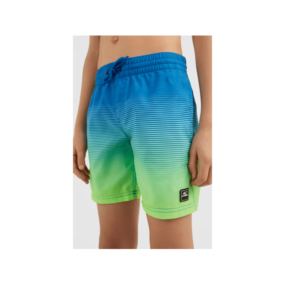 O'Neill Z23 Boys Cali Gradient 14'' Swim Shorts
