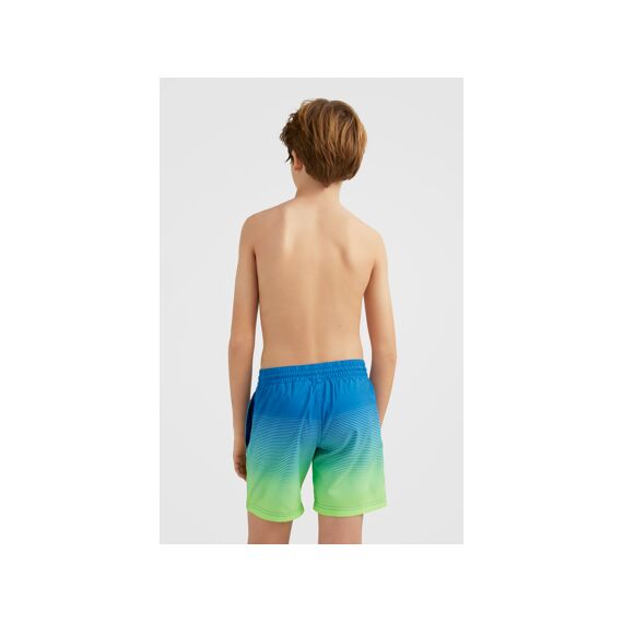 O'Neill Z23 Boys Cali Gradient 14'' Swim Shorts