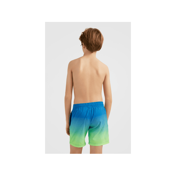 O'Neill Z23 Boys Cali Gradient 14'' Swim Shorts