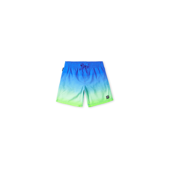O'Neill Z23 Boys Cali Gradient 14'' Swim Shorts