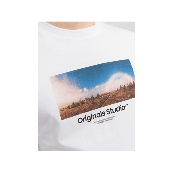 Jack & Jones 2307 Jorvesterbro Photo Ss Tee Crew Necksn