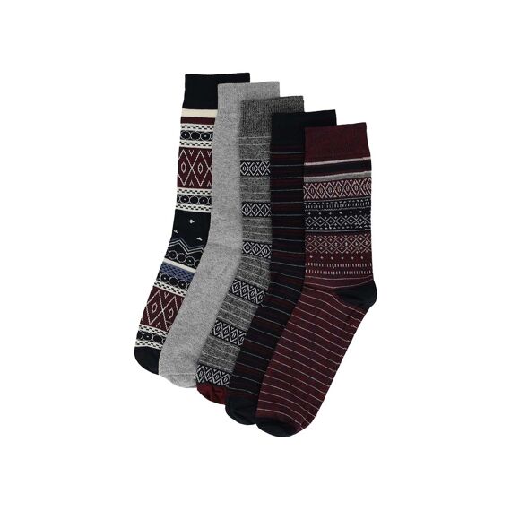 Apollo W23 Men Computer Socks 5-Pack