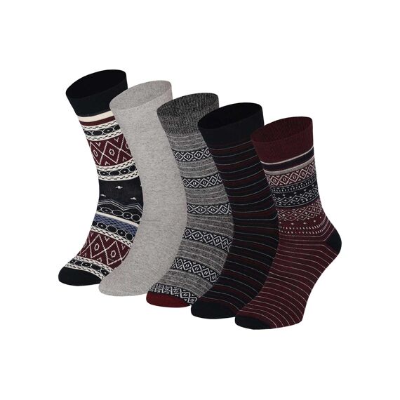 Apollo W23 Men Computer Socks 5-Pack