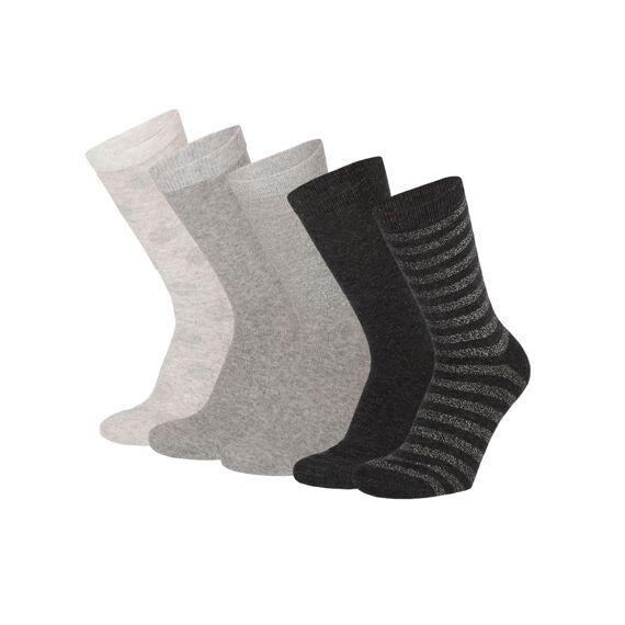 Apollo W23 Ladies Computer Socks 5-Pack