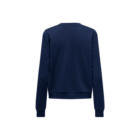 Only 2310 Onlyda Christmas L/S O-Neck Box Swt