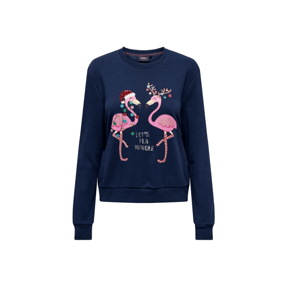 Only 2310 Onlyda Christmas L/S O-Neck Box Swt