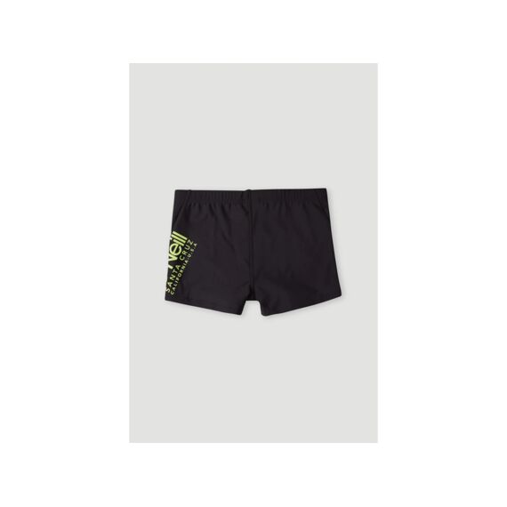 O'Neill Z24 Essentials Cali Swimtrunks