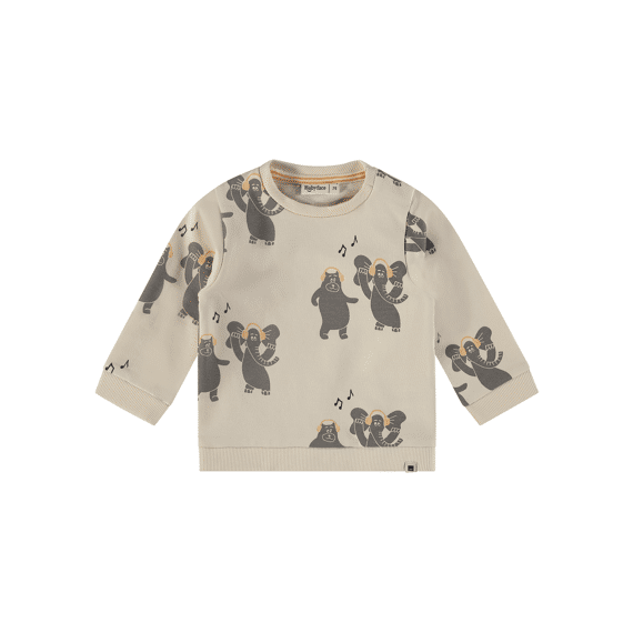 Babyface Z24 Boys Sweatshirt