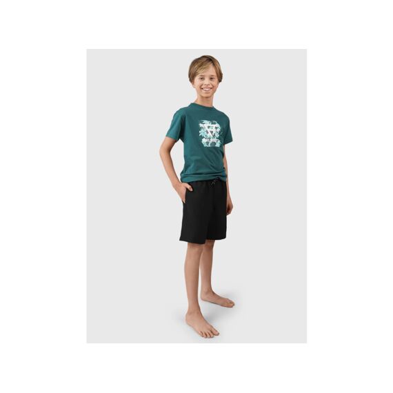 Brunotti Z24 Lestery Boys Swim Shorts