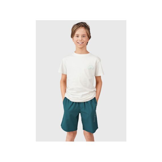 Brunotti Z24 Lestery Boys Swim Shorts