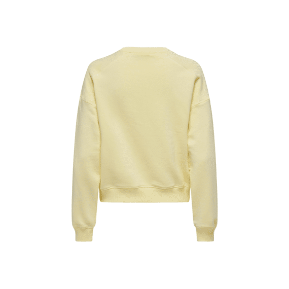 Only 2402 Onldiana L/S Sporty O-Neck Box Ub Swt