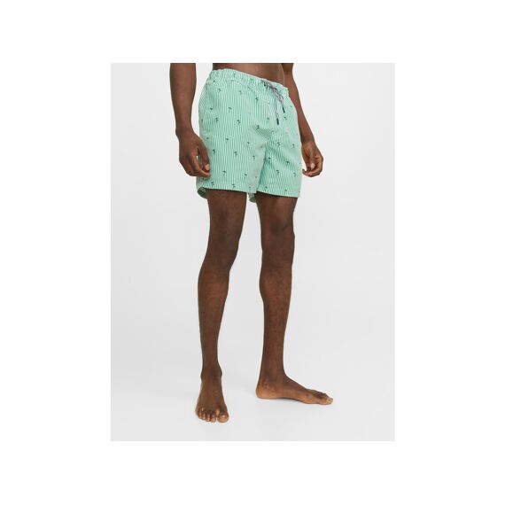 Jack & Jones 2403 Jpstfiji Jjswim Small Stripes Ly Sn