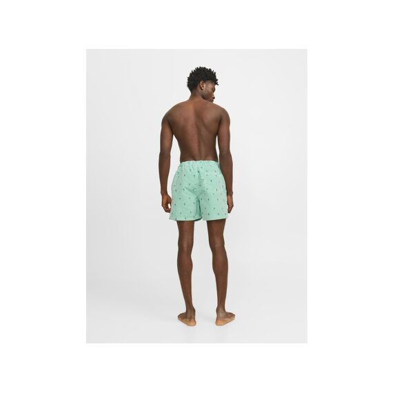 Jack & Jones 2403 Jpstfiji Jjswim Small Stripes Ly Sn