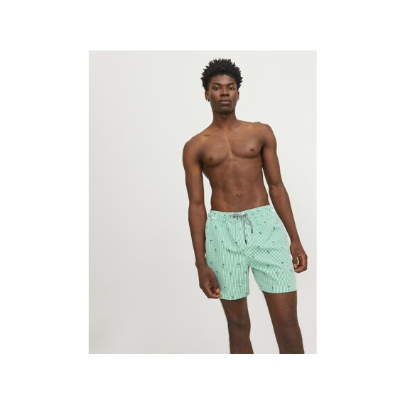 Jack & Jones 2403 Jpstfiji Jjswim Small Stripes Ly Sn