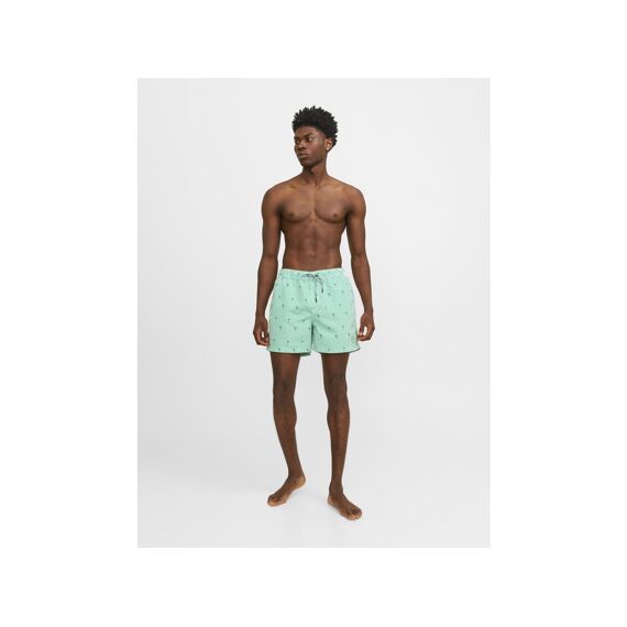 Jack & Jones 2403 Jpstfiji Jjswim Small Stripes Ly Sn