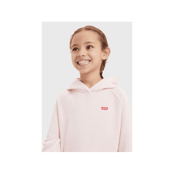 Levi'S Z24 Kids Hoodie