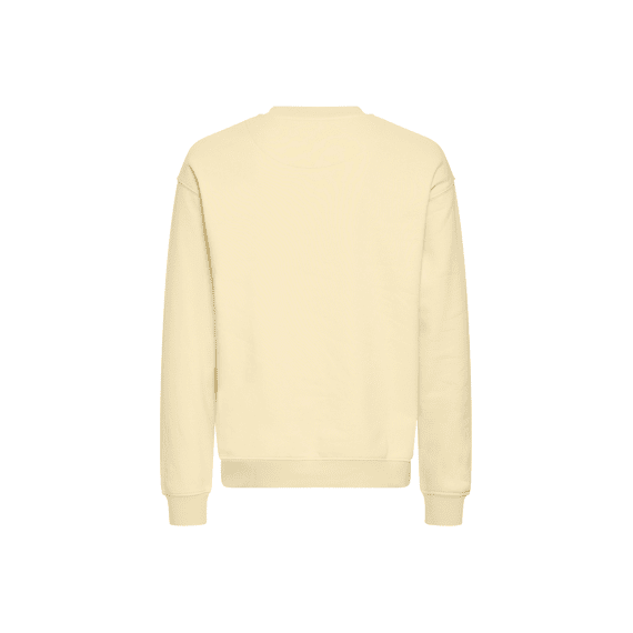 Solid Sweater