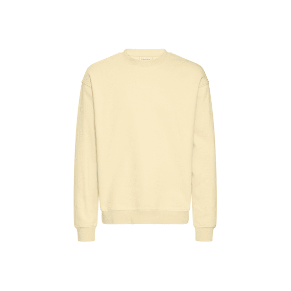 Solid Sweater