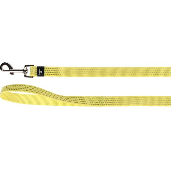 Lijn Asp Geel 100Cm 25Mm