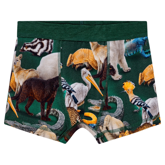 Molo 2 Boxershorts
