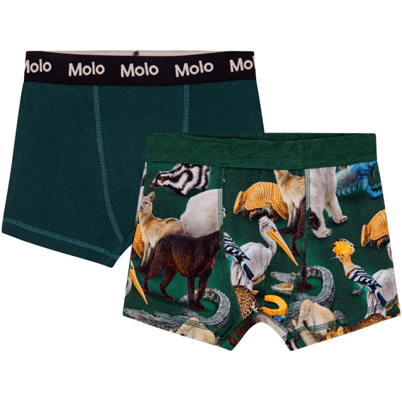 Molo 2 Boxershorts