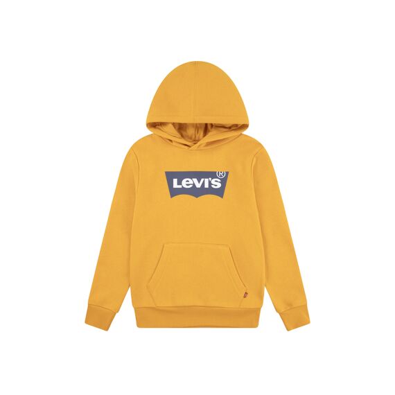 Levi's Sweater