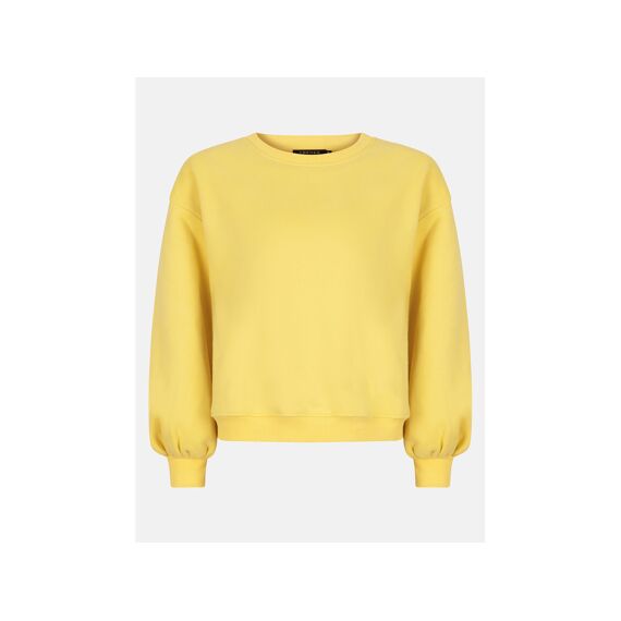 Ydence Sweater