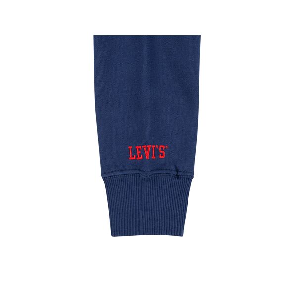 Levi's Sweater