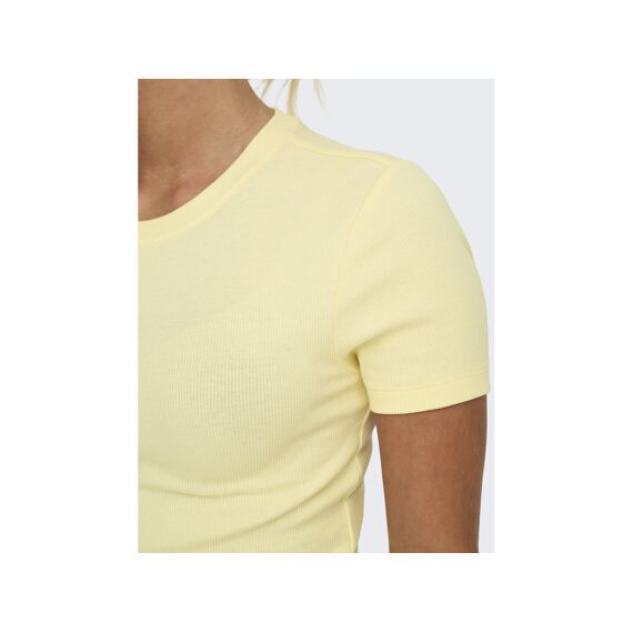 Only T-shirt