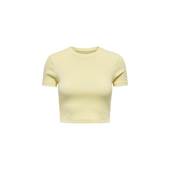 Only T-shirt