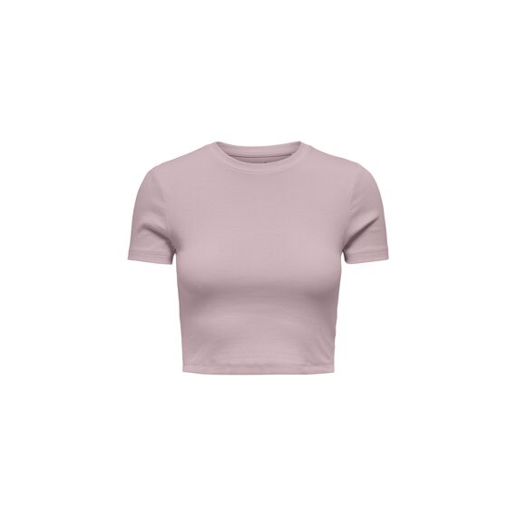 Only T-shirt