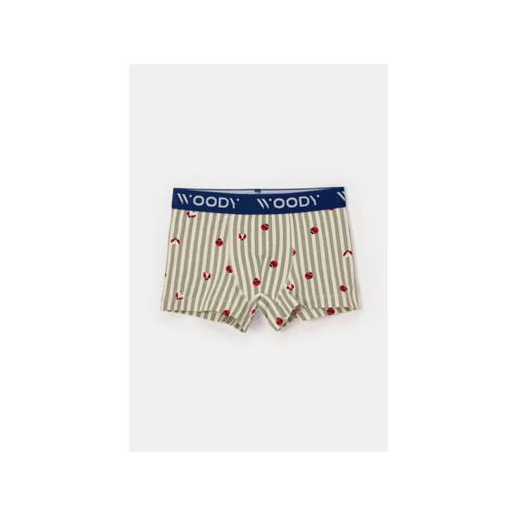 Woody Boxershorts 2-Pack