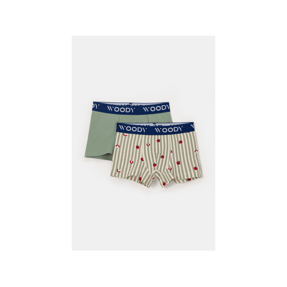 Woody Boxershorts 2-Pack