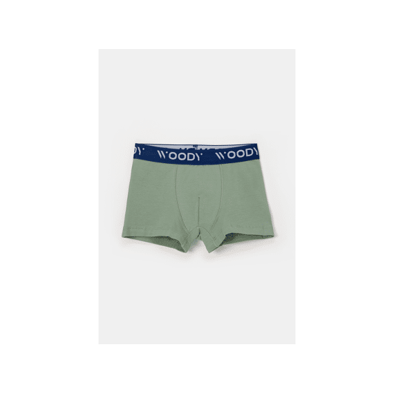 Woody Boxershorts 2-Pack