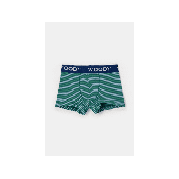 Woody Boxershorts 2-Pack