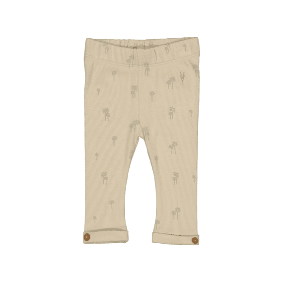 Levv Broek
