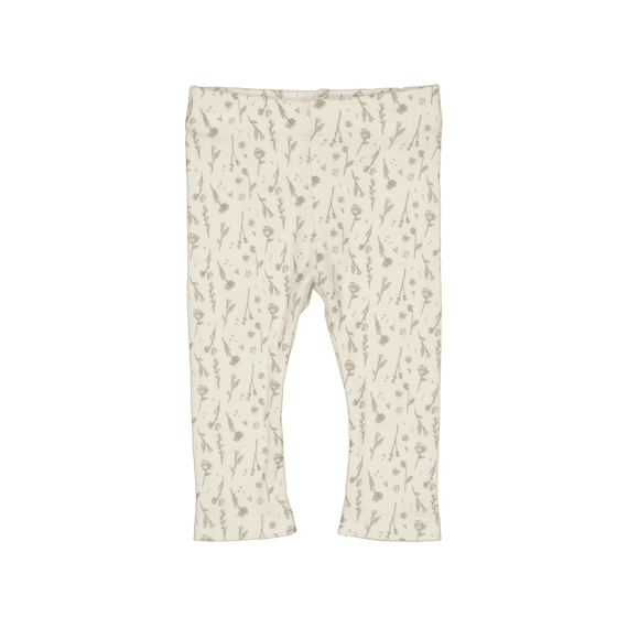 Levv Broek
