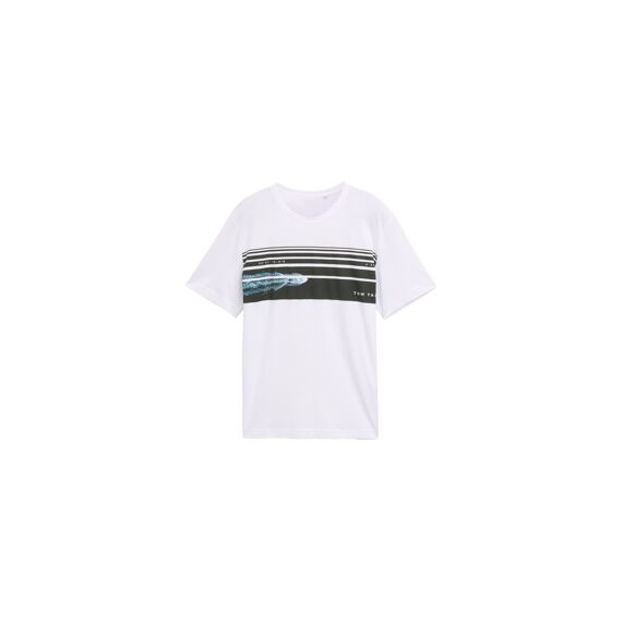 Tom Tailor Heren T-shirt
