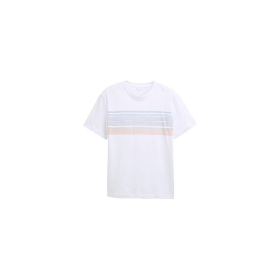 Tom Tailor Heren T-shirt